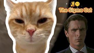 Sigma Cat Story (Patrick Bateman Meme Cat)