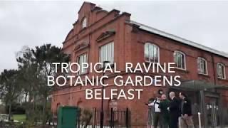 Interpretive fit-out of the Tropical Ravine, Belfast