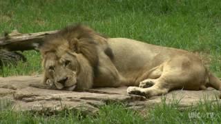 North Carolina Zoo | NC Weekend | UNC-TV