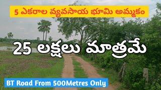 5 Acers Agriculture Land For Sale || Very Low Price || Clear Title || Best Suitable For investment