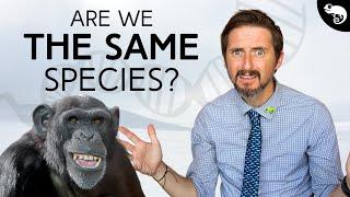 What is a Species? Nobody Knows!