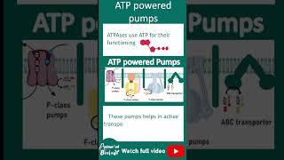 Types of ATP powered pumps | ATPases explained in 1 minute