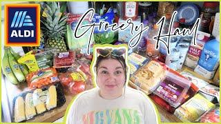 1-Week Grocery Haul & Meal Plan | ALDI HAUL