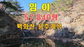 상주시 용추계곡 임야/백화산 보문사 옆 임야/57,840평 _시골집부동산TV