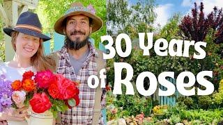 Amazing Artist Transforms her Suburban Yard into this Breathtaking Rose Cottage