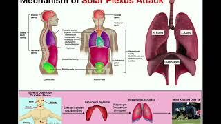 Mechanism of the Solar Plexus Attack | Getting the Wind Knocked Out of You