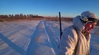 Охота на зайца. Зайцы дачники. Сезон 2024-2025 №212.