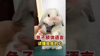 Cute pet rabbits can speak萌寵兔子會說話#萌寵#兔子#說話