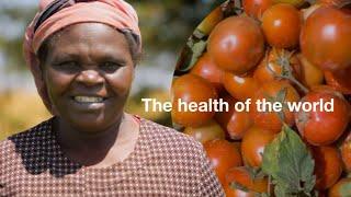 The Health of the World Grows with You