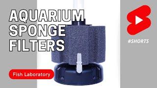 Aquarium Sponge Filter: Pros and Cons #shorts