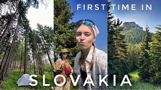 3 days hiking in Slovakia with friends. Mala Fatra | VLOG