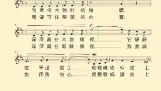樹(661207)  練習音樂檔
