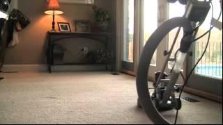 Carpet Cleaning Tampa Bay by High Steam Carpet Cleaning Tampa, Brandon, Land O Lakes, Wesley Chapel