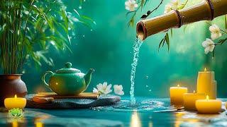 Relaxing Zen Music - Meditation Music, Peaceful Music, Bamboo, Relax Music, Nature Sounds, Spa, BGM