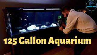 125 Gallon Aquarium - The Complete Setup | Predator Haps!