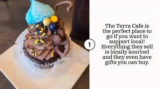 Coffee Shop Guide of Morgantown, WV | College Town Travel Guide | Foodie Guide
