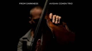 Avishai Cohen - Abie