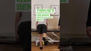 Hip Kickback | Glute Exercise | Physical Therapy #shorts