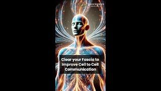 Fascia Helps your body COMMUNICATE! (read comments)