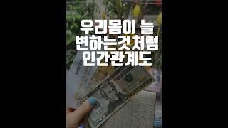 인간관계리디자인_#도전 #책사임당