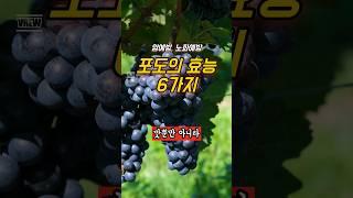 포도를 먹어야 하는 이유? #암예방 #플라보노이드 #콜레스테롤 #골다공증 #건강 #상식 #지식 #포도효능 #건강정보 #food