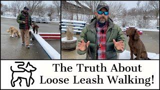 Puppy Training: The Truth About Loose Leash Walking!