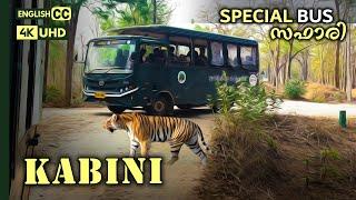 Kabini Special Bus Safari | Kabini Wildlife Safari | Nagarhole Tiger Reserve | 4K UHD