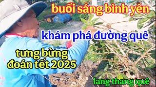 lang thang quê,khám phá vùng quê buổi sáng bình yên,lặt lá mai đón tết 2025