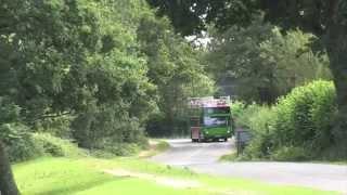 The New Forest Tour - a great day out from London