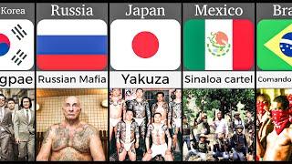 Dangerous Gangs From Different Countries