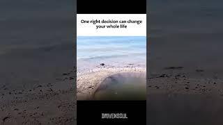 One Right decision can change your whole life #motivation #inspiration #lifedecisions #mastery