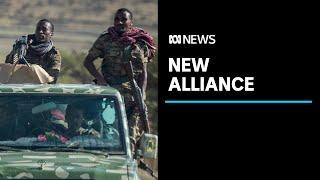 Ethiopia's Tigray forces and other anti-government groups form alliance to oust PM | ABC News