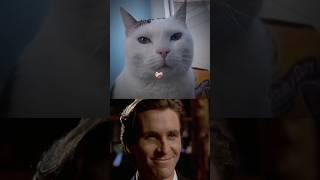 Real Sigma Cat #94