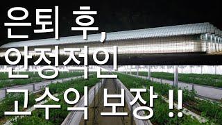 은퇴자들을 위한 안정적인  아이템!!~ '네잎클로버 스마트팜' 소개