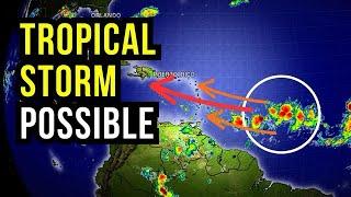 Tropical Storm Likely to Form...