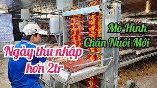 Mô hình chăn nuôi mới thành công nhờ áp dụng khoa học kỹ thuật công nghệ | Khởi Nghiệp TV