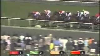 2003 Breeders Cup Mile - Six Perfections