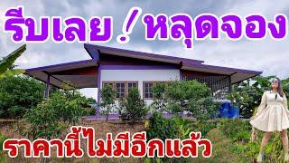 ด่วน หลุดจอง ราคาเดิม [EP.746] ขายถูกมาก #สวนทุเรียน200ต้น #บ้านสวนพร้อมอยู่