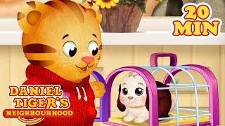 Daniel Brings Snowball the Bunny Home | Cartoons for Kids | Daniel Tiger