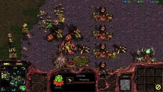 3v3 BGH Big Game Hunters Zerg Gameplay Starcraft Remastered 2019 #45