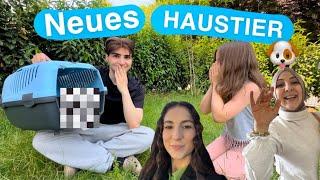 NEUES HAUSTIER FÜR MEINE FAMILIE PRANK *fail*