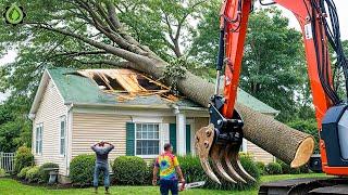 Extreme Dangerous Fastest Big Chainsaw Cutting Tree Machines | Monster Stump Removal Excavator #93