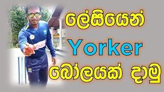 How to Bowl Yorker Ball | Fielding JayA