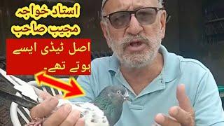 Ustad Khawaja Mujeeb | Pure Teddy kaise hotay thay ? | Orignal Teddy Blood Line by Khawaja Mujeeb