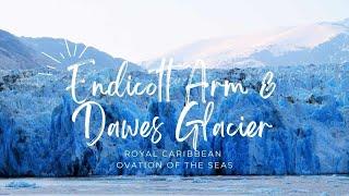 Royal Caribbean Ovation of the Seas Dawe's Glacier & Endicott Arm Catamaran Excursion