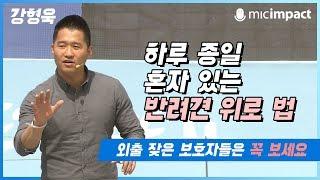 [청페강연] 하루 종일 혼자 있는 반려견 위로 법 - 강형욱