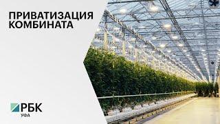 Тепличный комбинат "Янаульский" выставили на продажу за ₽21,8 млн