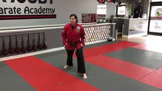 2nd Gup (Red Belt) - Blue Stripe - Reverse Punch Front Stance Basics