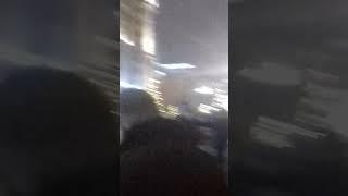Главный Универсальный Магазин, Тверская улица, Ёлк(23)