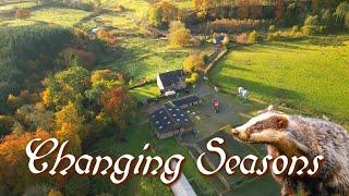 A Badger Attacked our Chickens! Changing Seasons - Scottish Country House Life (Living in Scotland)